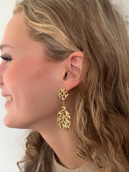 Coral Earrings