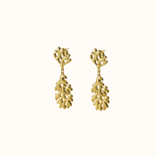 Coral Earrings